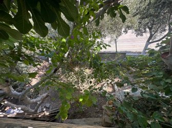 GÜLLÜK ORJAN SİTESİNDE 3+1 GENİŞ BAHÇELİ SATILIK MÜSTAKİL EV